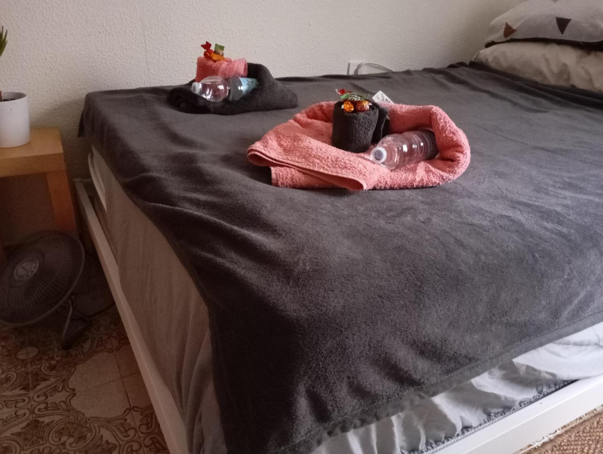 Grosses Modernes Zimmer "Silber" Fuer 2 Personen Und Katzenliebhaber Valenza Esterno foto