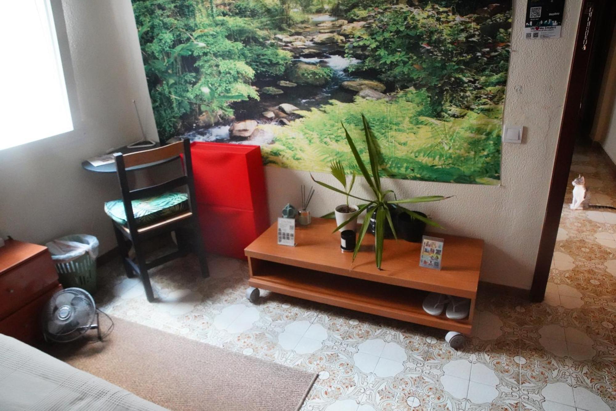 Grosses Modernes Zimmer "Silber" Fuer 2 Personen Und Katzenliebhaber Valenza Esterno foto